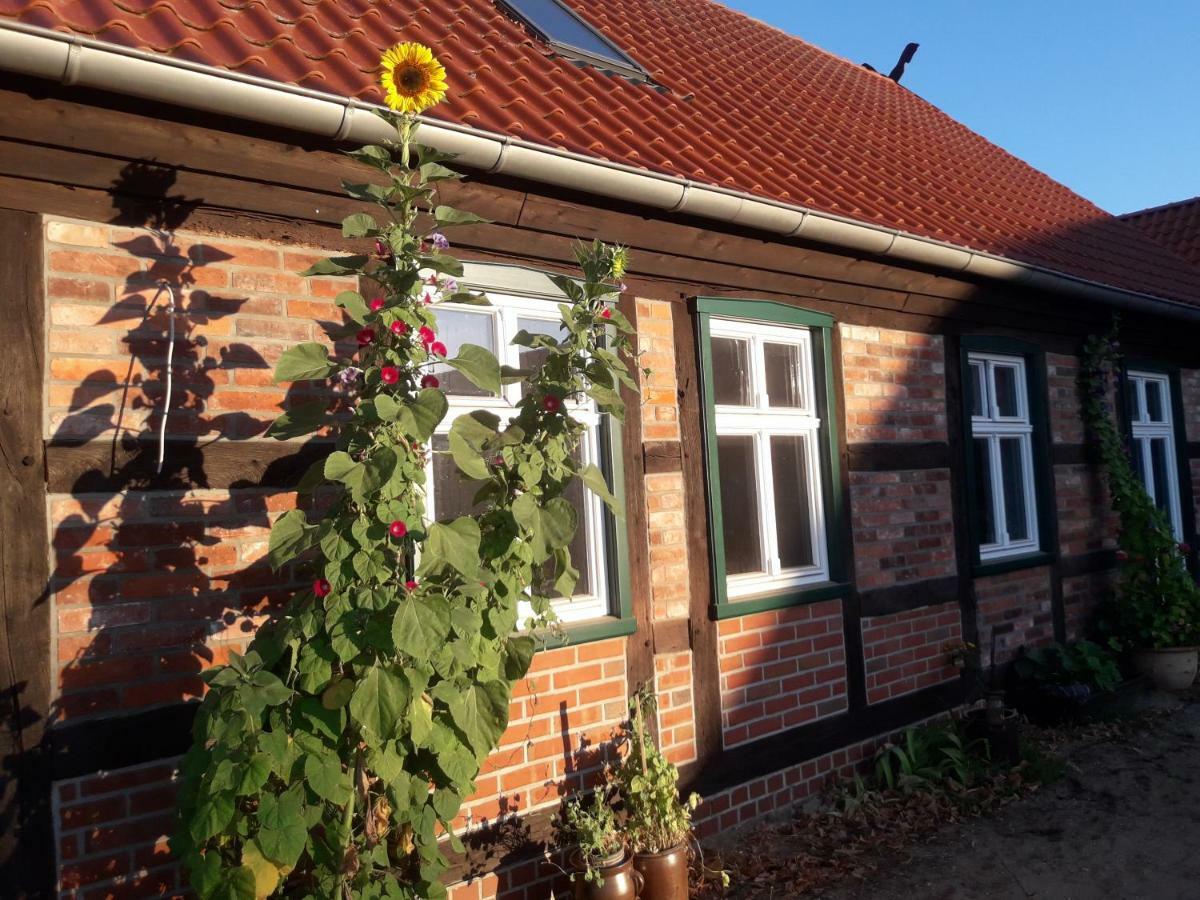 Pension Up'N Doerp Plattenburg ภายนอก รูปภาพ