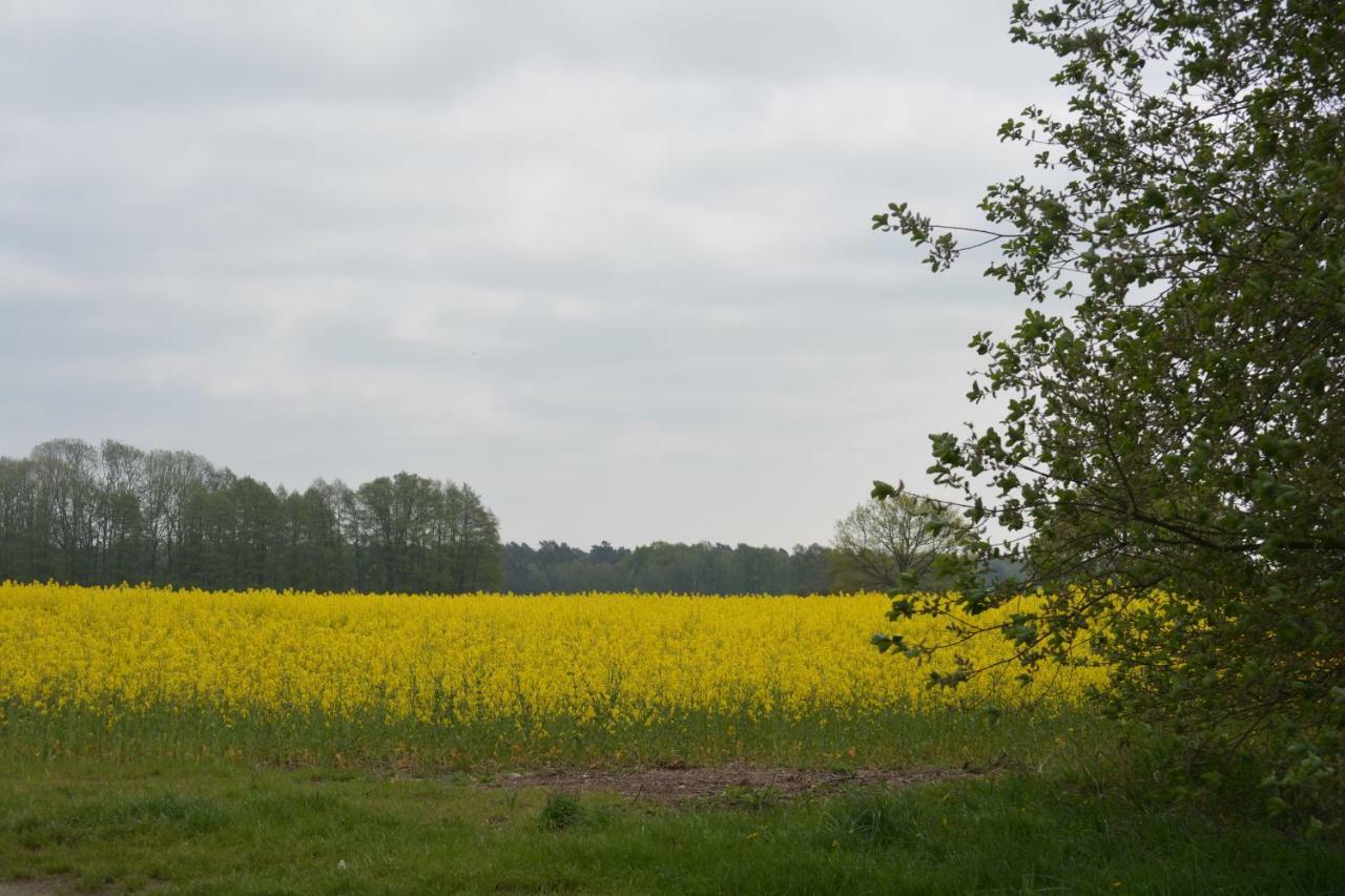 Pension Up'N Doerp Plattenburg ภายนอก รูปภาพ